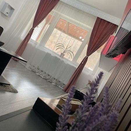 Aky Residence Slanic-Moldova Bagian luar foto