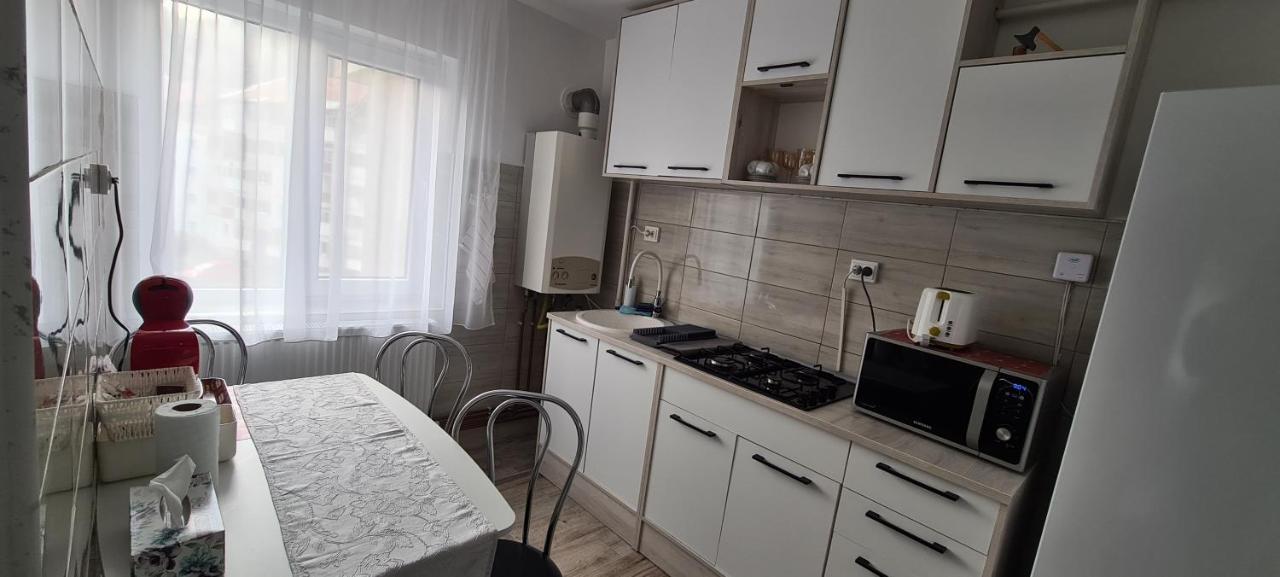 Aky Residence Slanic-Moldova Bagian luar foto